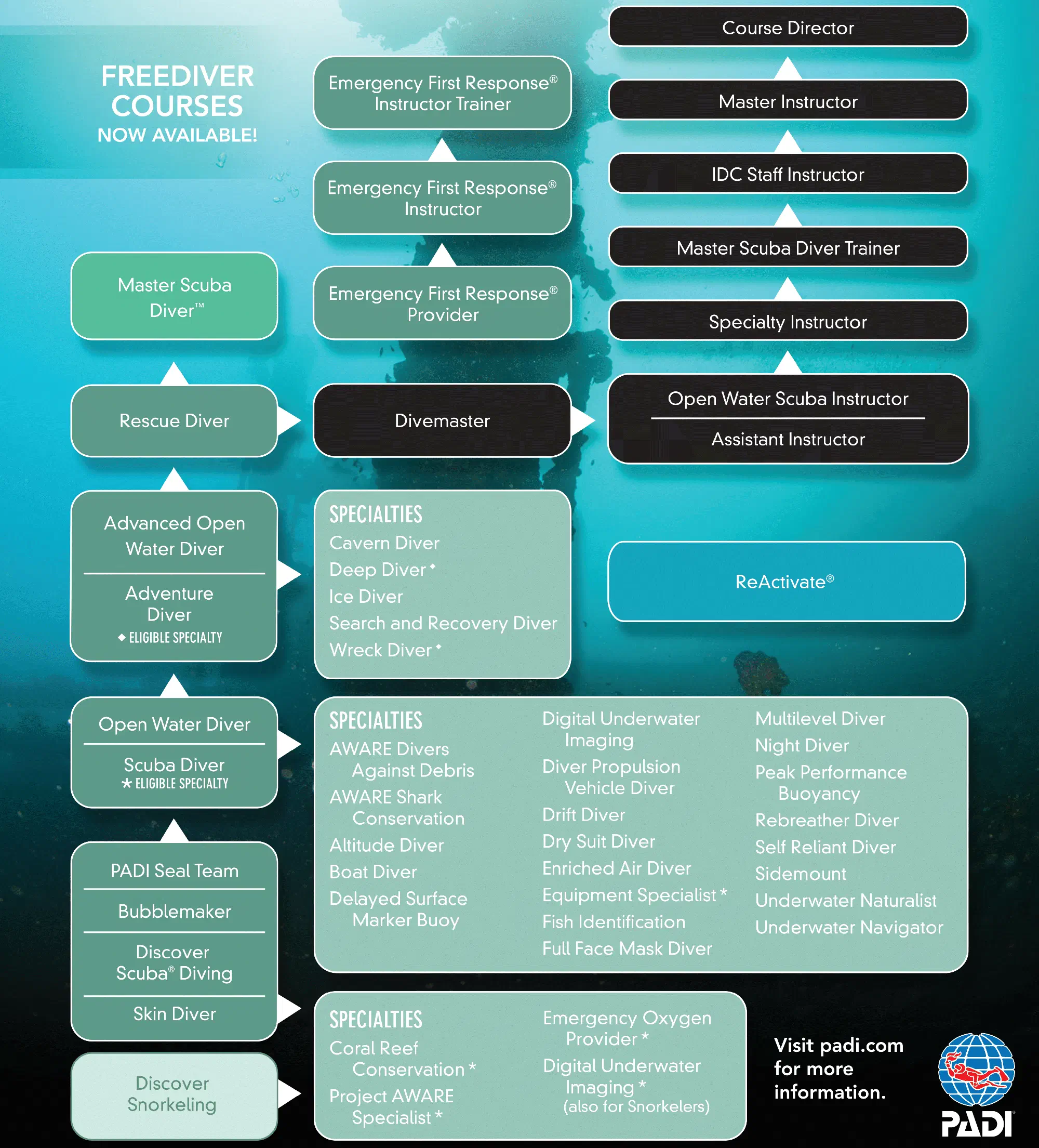 PADI continued education flowchart